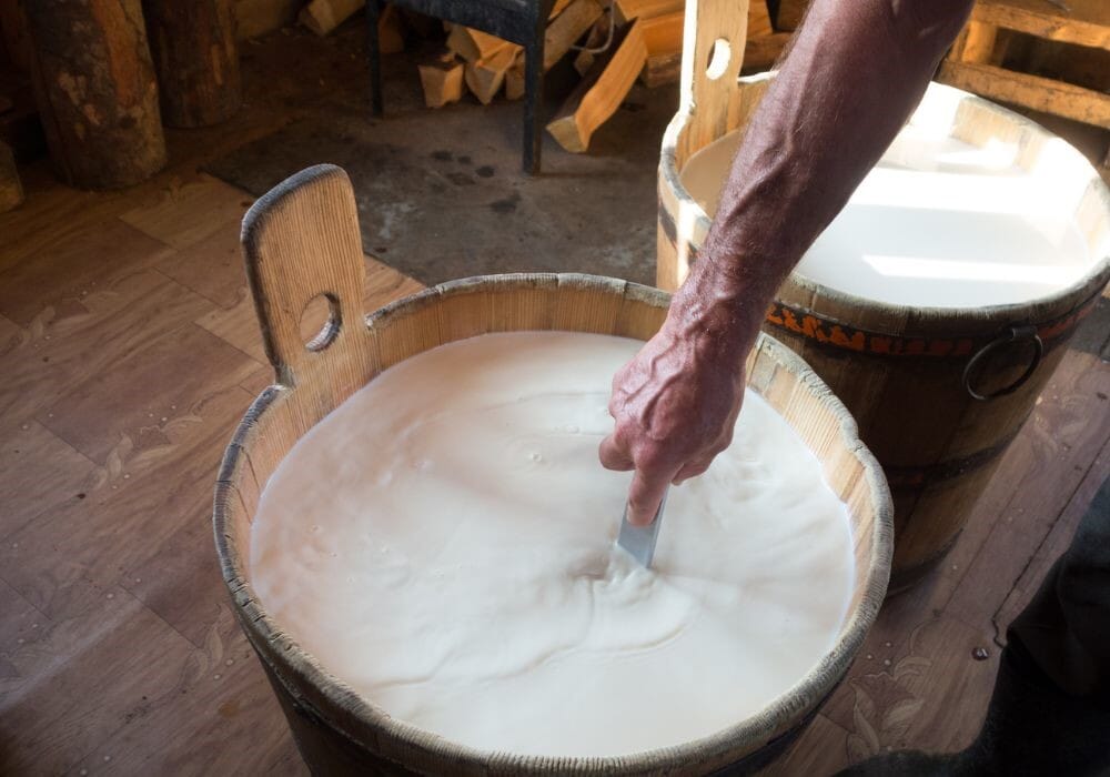 Produzione del formaggio Come si produce La taverna del Pecorino